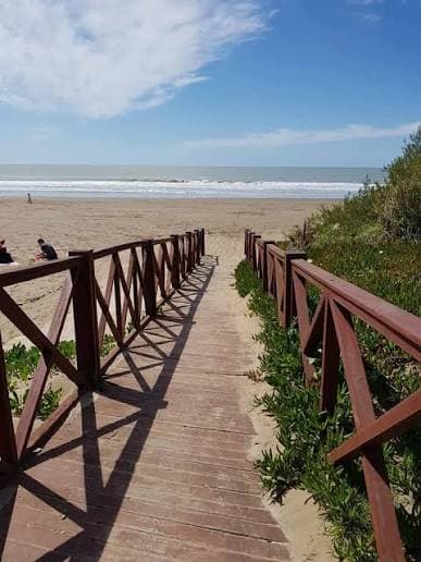 MAR DE AJO