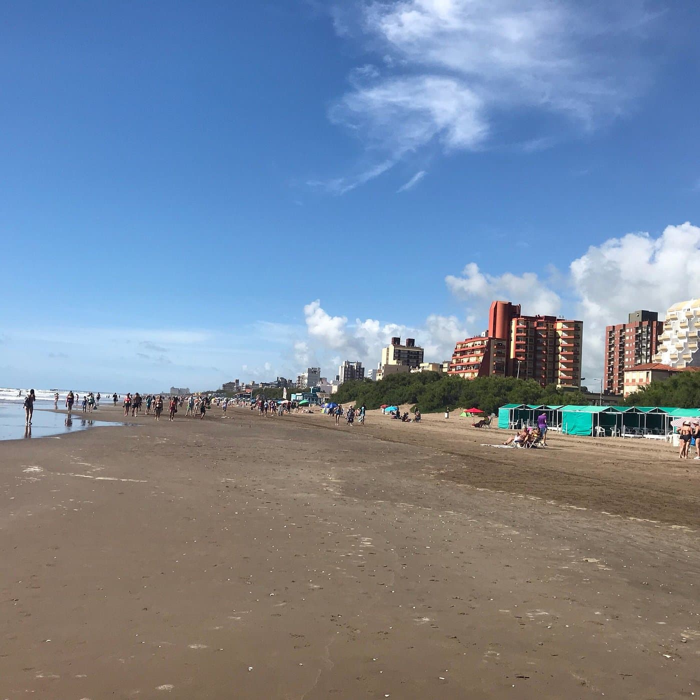 SAN BERNARDO